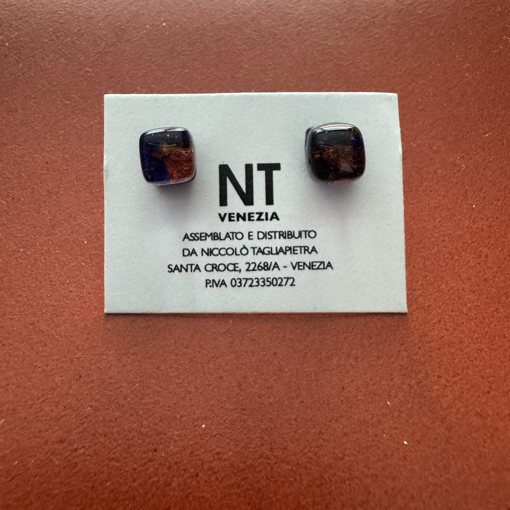 Venezia Blue and Brown Earrings